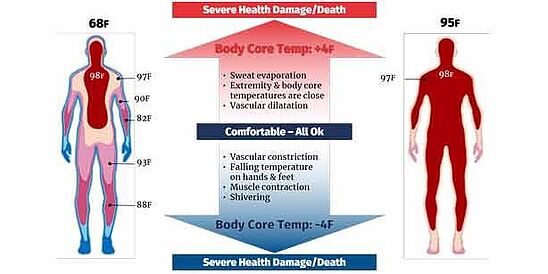 diagram illustrating human body core temperature and heating/cooling effects