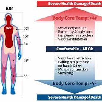 diagram illustrating human body core temperature and heating/cooling effects