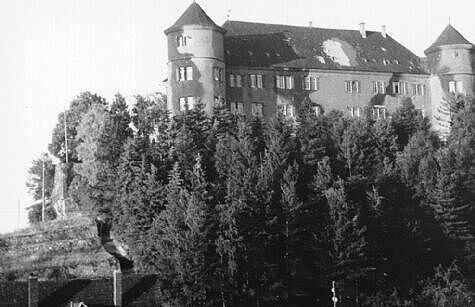 black and white picture of Hohenstein castle on hill