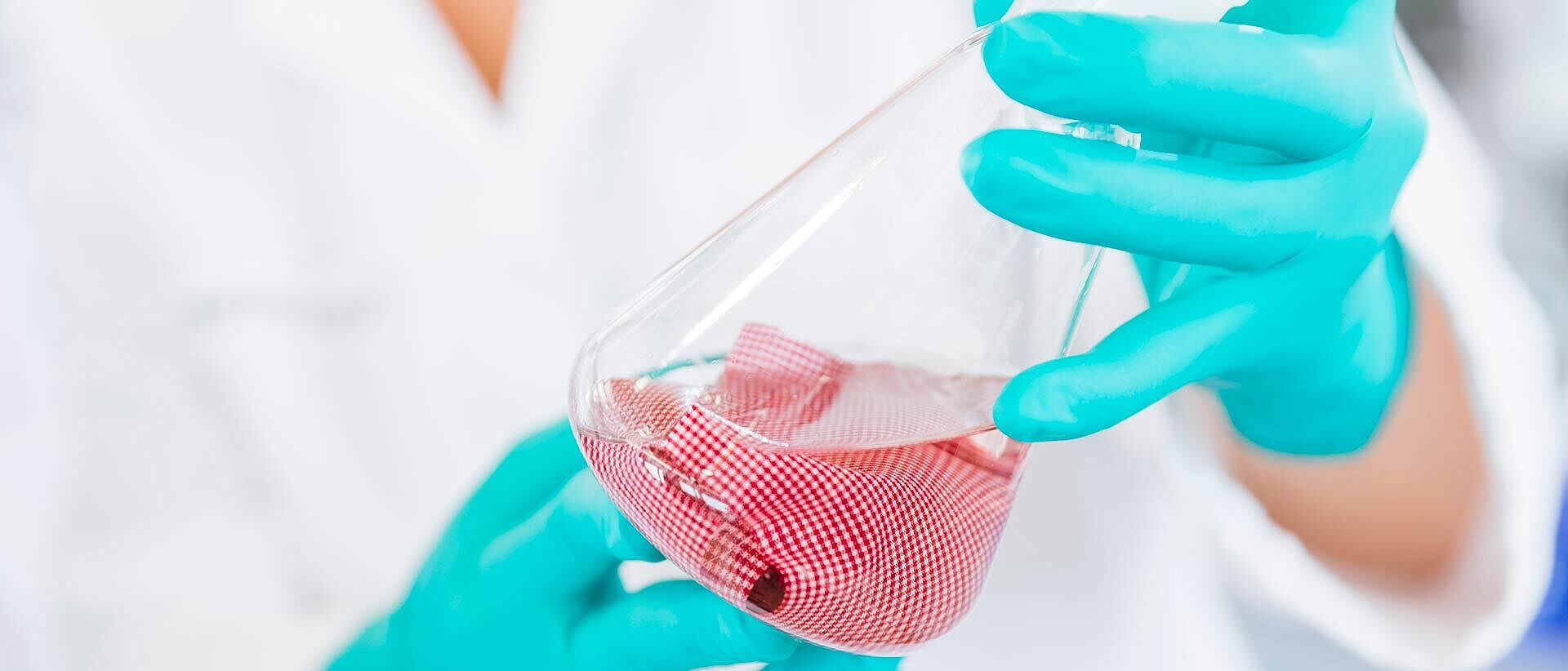 fabric tester wearing gloves and holding a beaker with red fabric in solution