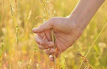 Updates to OEKO-TEX® Standards, Requirements, Limit Values