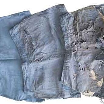 denim shorts in 3 stages of biodegradation