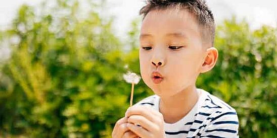 boy wearing striped shirt, outside with dandilion