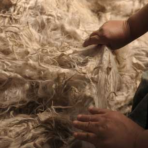 Worker at Inca Tops fiber plant working with alpaca fiber 
