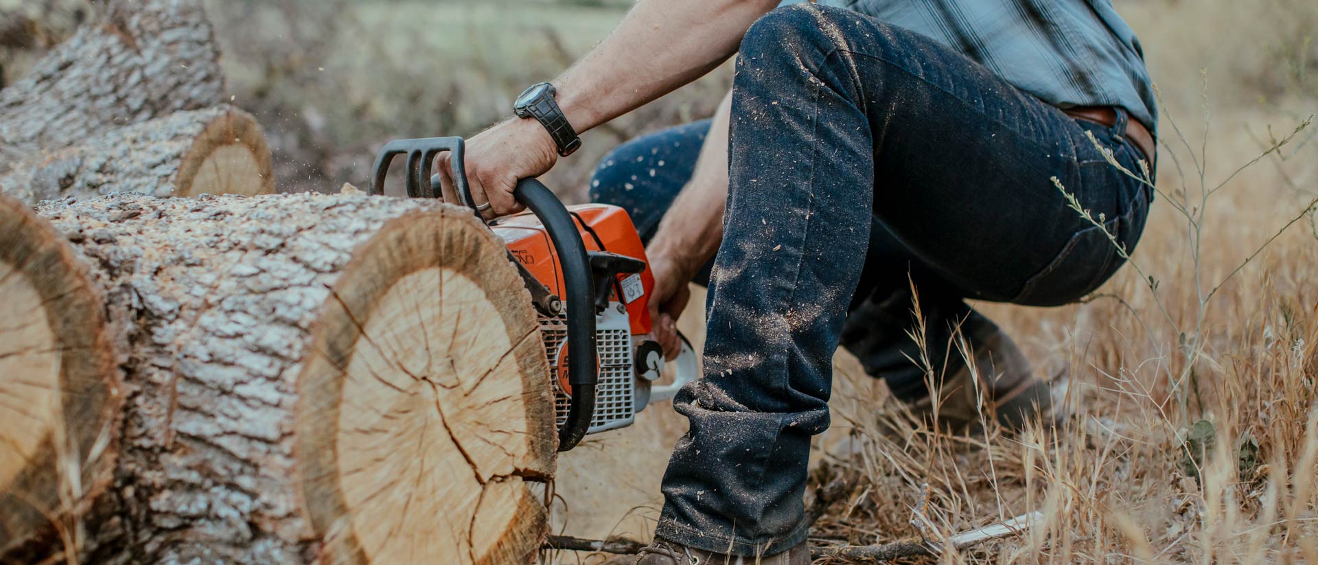 Man in Carhartt workwear squatting to cut a tree with a chainsaw