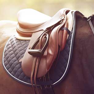 Leather saddle on horse