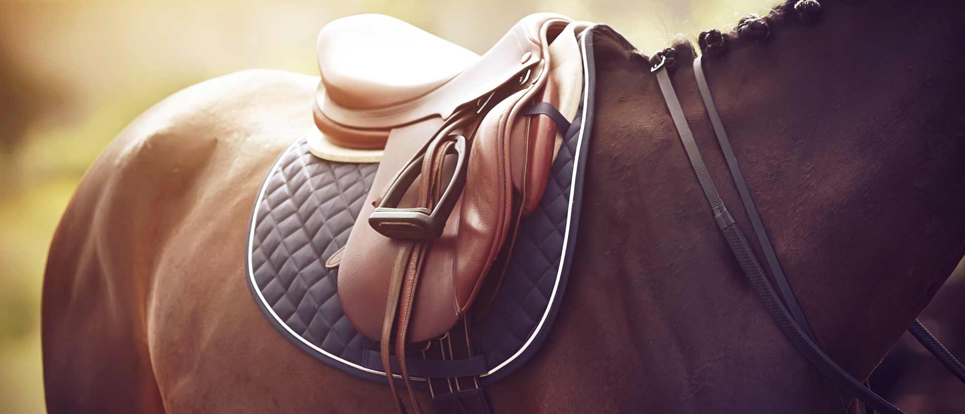 non-toxic leather saddle on horse