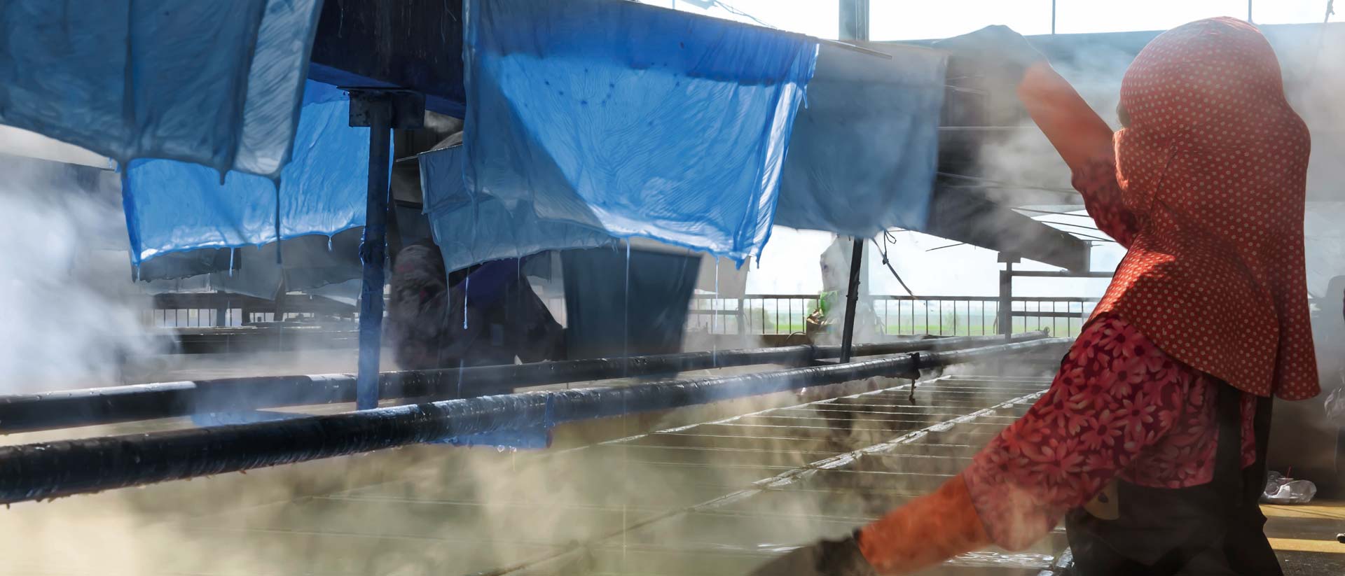 Textile worker hanging dyed cloth to dry in dyehouse