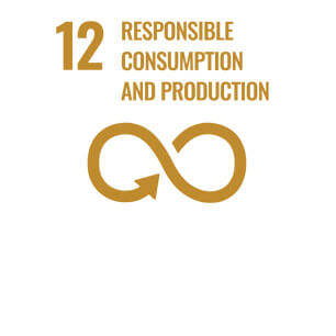 SDG Icon 12 - "Responsible Consumption and Production"