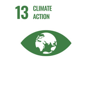 SDG Icon 13 - "Climate Action"