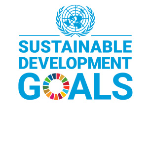 UN SDG Logo