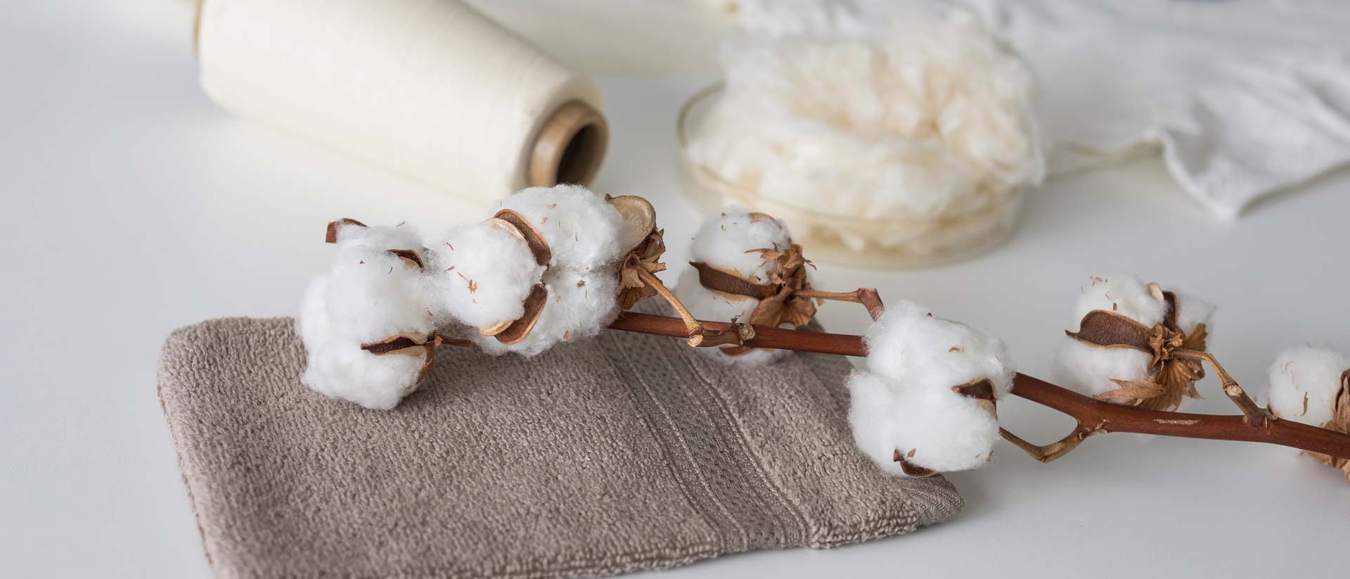 Organic cotton bolls, fiber, fabric, towel