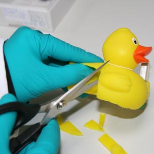 Gloved hand, cutting samples from rubber ducky for testing in Hohenstein toy testing lab